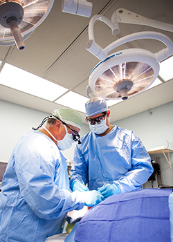 Hospital Dentistry Fellowship